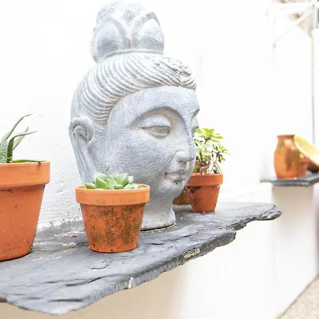 Red House 2- With Terrace Appartamento *