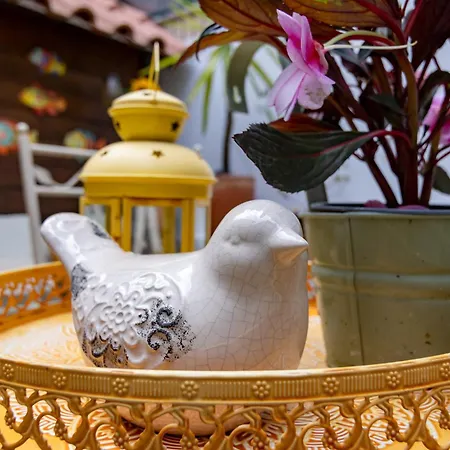 Red House 2- With Terrace *